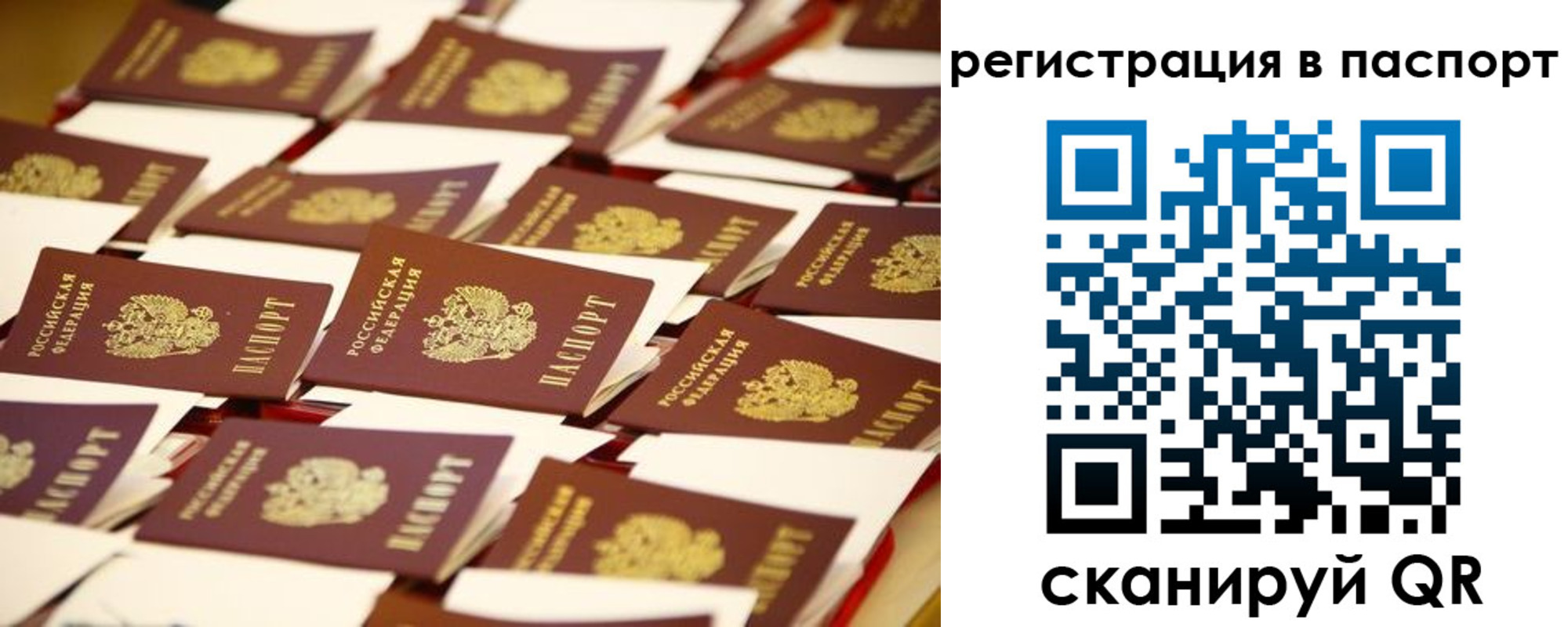 прописка гарантия в Ивановской области